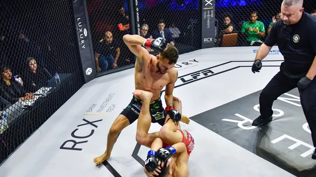 Ufc sales 176 stream