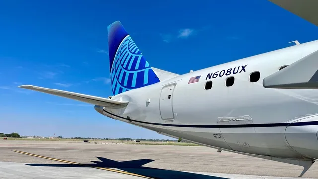 United Airlines Enhances Dog Travel Policies Fees Reservations