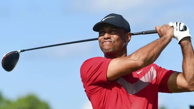 Tiger woods new golf shirts hot sale