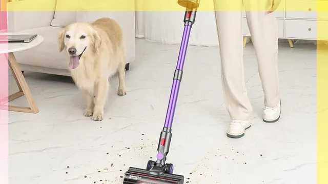 Golden retriever sale price in amazon