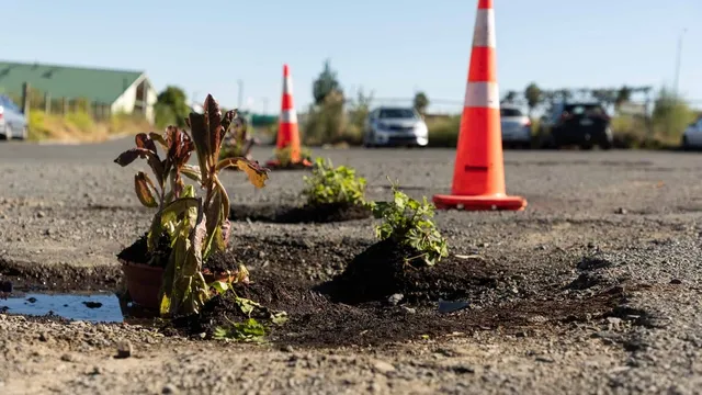 Creative Protest in Bay of Plenty Potholes Turned Planters Spur