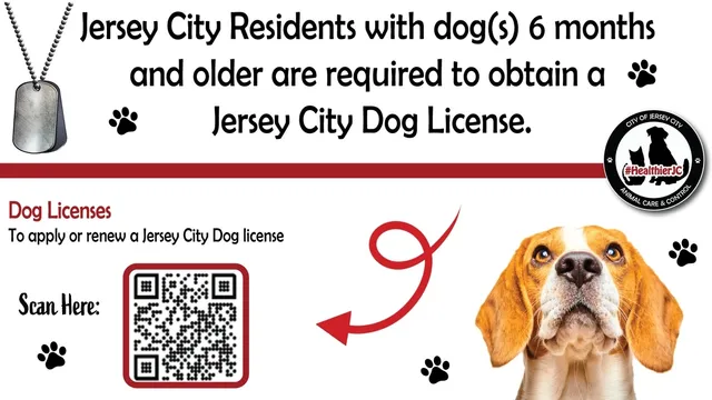 Dog store vaccination tags