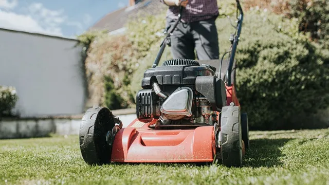 Mowing grass in best sale winter