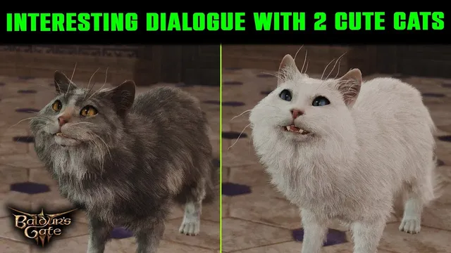 Cat youtuber sales