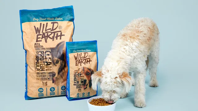 Waltham pet on sale nutrition
