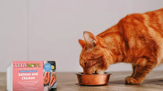 Catered bowl cat sales food