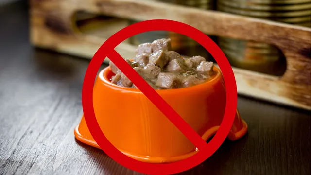 FDA Issues Voluntary Recall for Viva Raw Cat and Dog Food Products