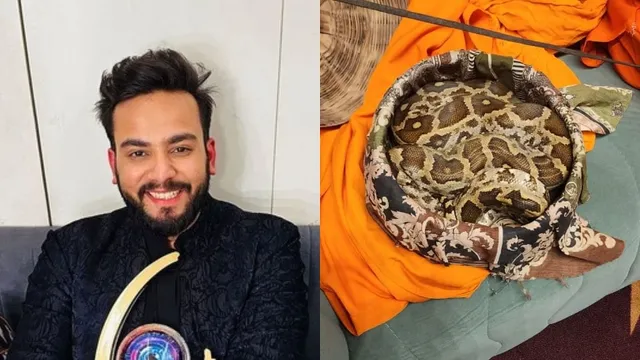 Snake youtuber deals
