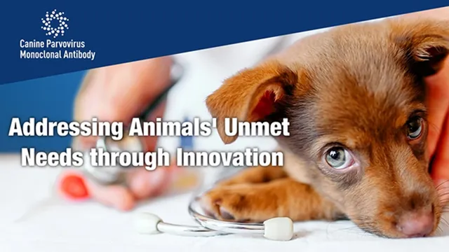 Groundbreaking Treatment Saves Puppy From Deadly Canine Parvovirus
