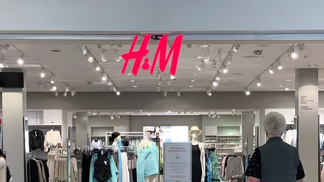 H M Stock Tumbles Amidst Financial Woes and CEO Exit
