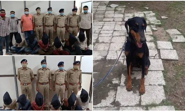 Important contribution by Vadodara police Dog named Java in detection of Karjan gang rape and murder