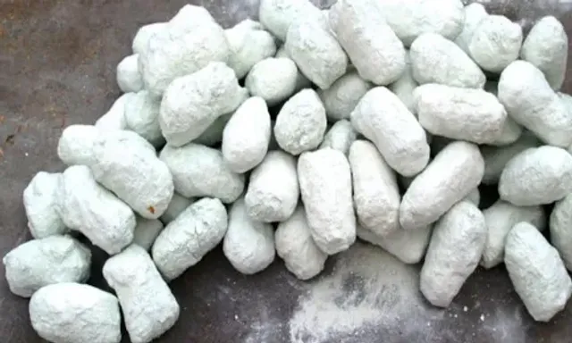 DRI seizes nearly 3,000 kg heroin worth Rs 15,000 crore at Mundra port