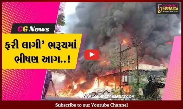 ભરૂચ : ભોલાવ GIDCની નર્મદા પેકેજીંગ કંપનીમાં ફાટી નીકળી ભીષણ આગ, કલેકટર-એસપી ઘટના સ્થળે...