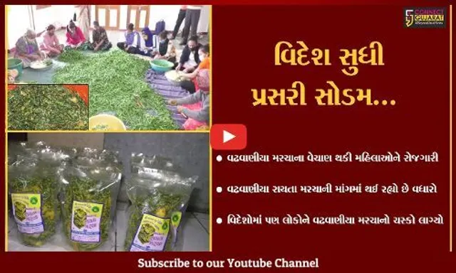 સુરેન્દ્રનગર : વઢવાણીયા રાયતા મરચાનું વેચાણ કરી રોજગારી મેળવતી મહિલાઓ, વિદેશોમાં પણ વધી છે માંગ...