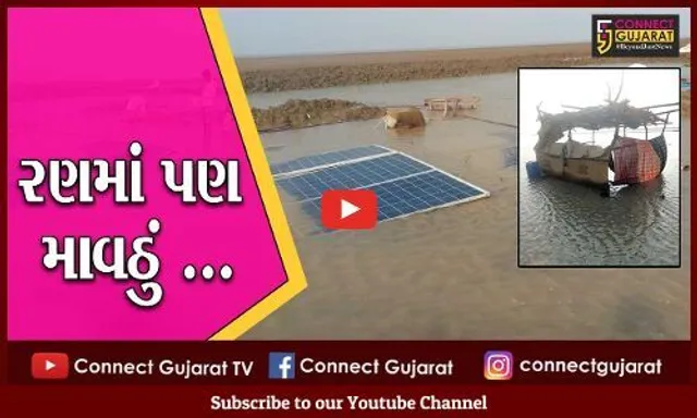 સુરેન્દ્રનગર : અગરિયાઓને "ખારા" પાણીએ રડાવતો કમોસમી વરસાદ, સાધનોને ભારે નુકશાન