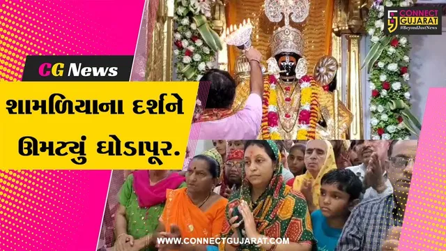 અરવલ્લી : ગુરૂપૂર્ણિમા નિમિત્તે ભગવાન શામળિયાના દર્શને ઊમટ્યું ભક્તોનું ઘોડાપૂર...