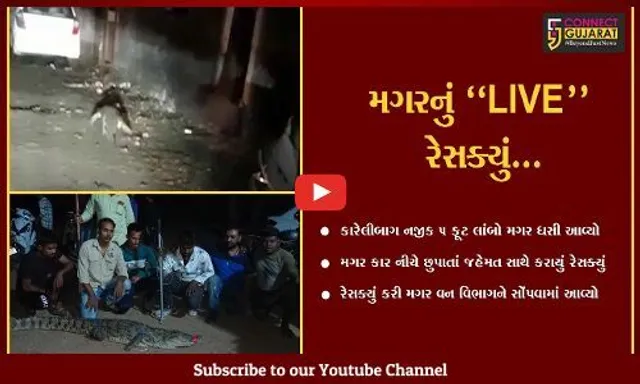 વડોદરા : 5 ફૂટ લાંબો મગર કાર નીચે ઘુસતાં રેસક્યું કરાયું, જુઓ "LIVE" રેસ્ક્યું...