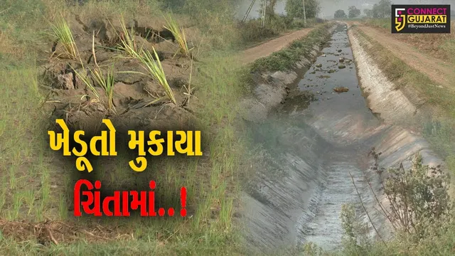 નવસારી : નહેરના પાણી પર આધારિત ડાંગરની ખેતી માટે છેલ્લા 4 દિવસથી પાણી ન મળતા ખેડૂતોમાં ચિંતા...