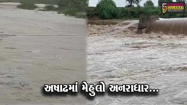 અષાઢમાં મેહુલો અનરાધાર... : રાજ્યના 200 તાલુકામાં સાર્વત્રિક વરસાદ, આગામી 48 કલાક ભારે વરસાદની આગાહી