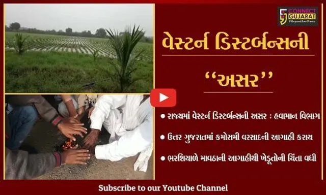 "માવઠું" : વેસ્ટર્ન ડિસ્ટર્બન્સની અસરના પગલે ઉત્તર ગુજરાતમાં કમોસમી વરસાદની આગાહી...