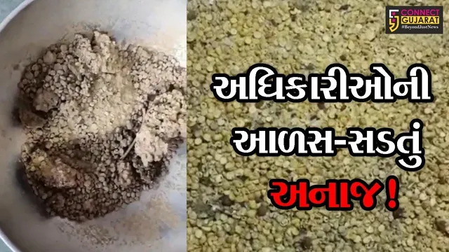 મહેસાણા: મધ્યાહન ભોજન યોજના અંતર્ગત અપાતા અનાજના આવા હાલ, તમે પણ જોઈ ચોંકી જશો