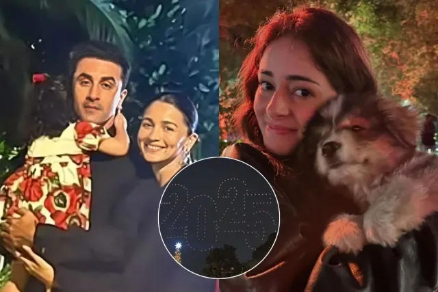 Happy New Year 2025: From Alia Bhatt, Ranbir Kapoor to Ananya Panday, Here's  How Top Bollywood Stars Said Goodbye to 2024