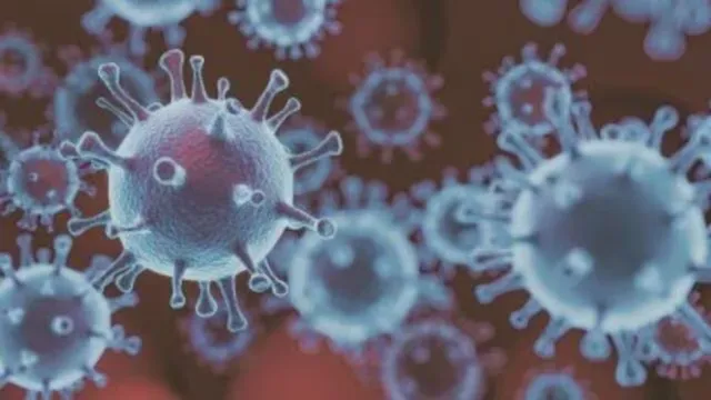 HMPV Virus Alert: कोरोना के बाद चीन से भारत पहुंचा एक और खतरनाक वायरस, भारत  में एचएमपीवी के 2 मामले, क्या है लक्षण और बचाव?