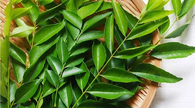 தினமும் 8 கருவேப்பிலை... மாரடைப்பை தடுக்க டாக்டர் மைதிலி டிப்ஸ்