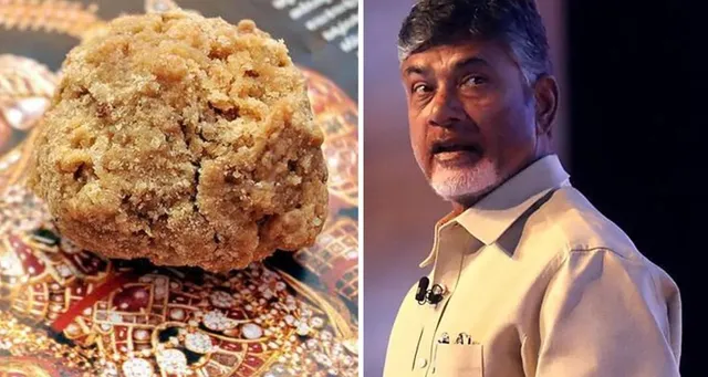 திருப்பதி லட்டு பிரசாதத்தில் நெய்க்கு பதிலாக விலங்குகளின் கொழுப்பு: ஜெகன்  மீது சந்திரபாபு நாயுடு தாக்கு