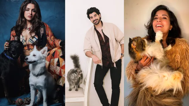 Bollywood shines with love for animals