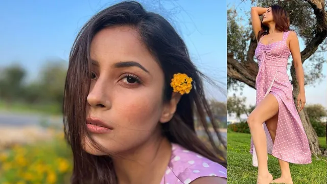 Shehnaaz Gill shared pictures from the holiday, was seen enjoying