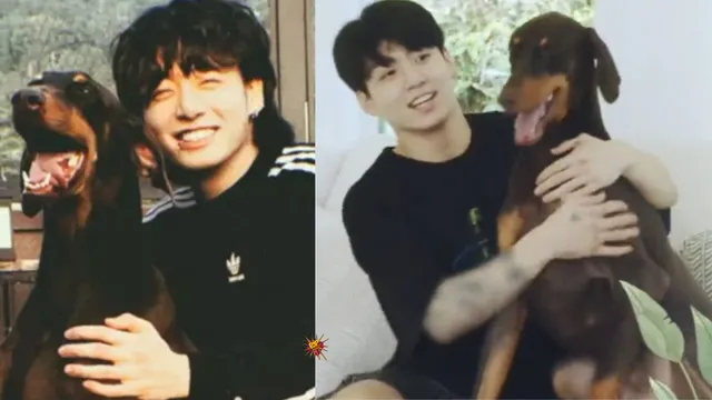 BTS' Jungkook Delights Fans by Creating Instagram Account for Pet Dog Bam
