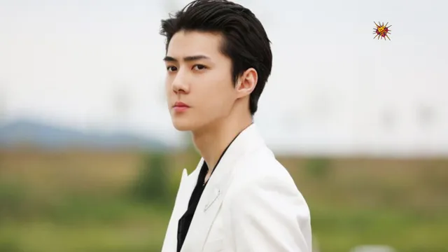 EXO's Sehun Announces Military Enlistment in Heartfelt Letter to Fans