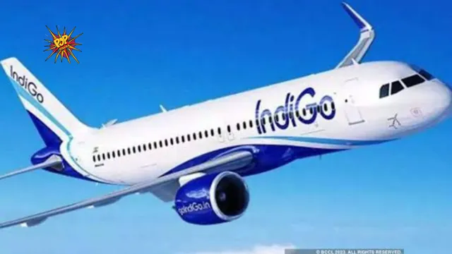 IndiGo Faces Backlash Over 'Cute Fee', Advocate Questions Airline Charges