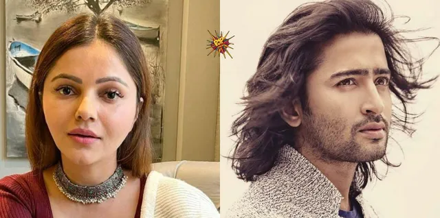 Shaheer Sheikh and Rubina Dilaik to come together for Rajan Shahi's upcoming family drama.