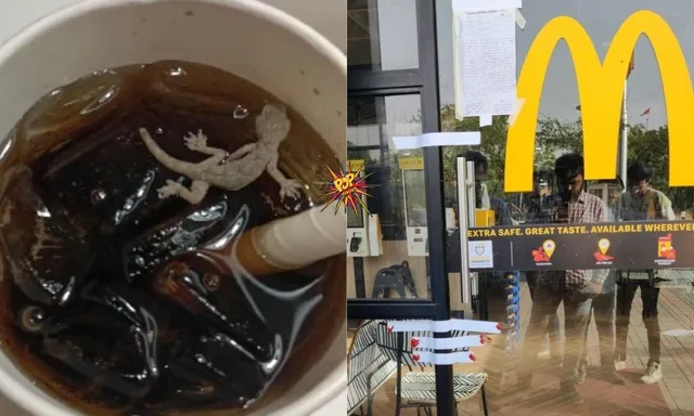 Disgusting! Dead Lizard Found Floating In McDonald's Soft Drink In Ahmedabad 