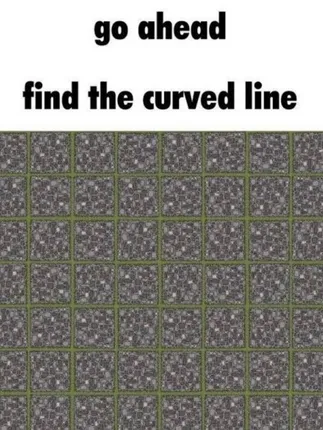 No 1 Optical Illusion Has Made People Crazy On The Internet , Find Curve Challenge :