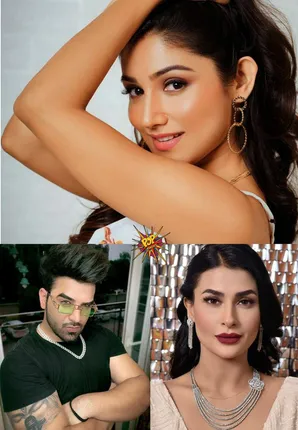 Bigg Boss 15: Donal Bisht will not enter but Paras Chhabra and Pavitra Punia might enter the Salman Khan's show instead