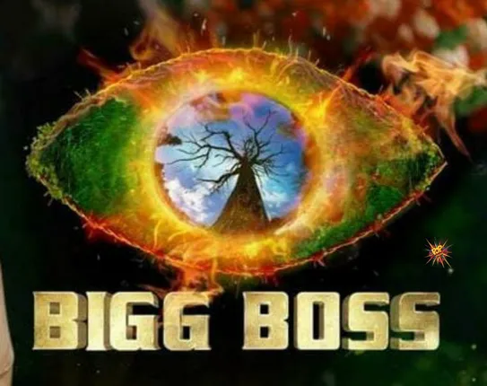 Bigg Boss 15 got an extension from the channel with some new twists and turns.
