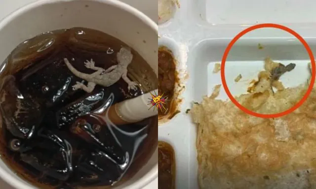 Opinion: Food Outlets Needs To Be Responsible And Cautious About Hygiene; Another Incident Of Lizard Found In Food! Just Ewww!