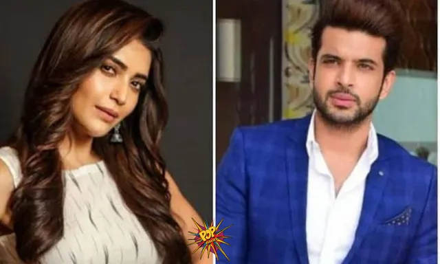 Karan Kundrra says men too face sexual, financial torture in relationships, Karishma Tanna claims it frustration talking