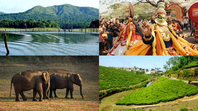 Thekkady Tourist Places: A Unique Experience of Wildlife and Nature