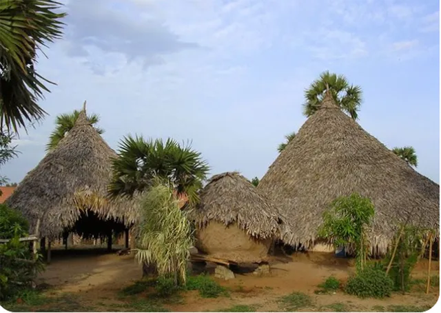 A Chuttillu has a thatched conical roof and a circular house plan with concentric walls. Pic: DakshinaChitra Museum 