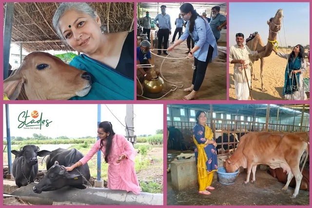 Five women dairy entrepreneurs who whipped up success stories