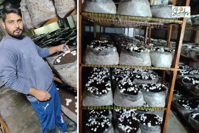Manish Yadav at his mushroom farm in South West Delhi