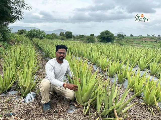 Hrushikesh Dhane at his aloe vera farm in Padali village, Satara, Maharashtra