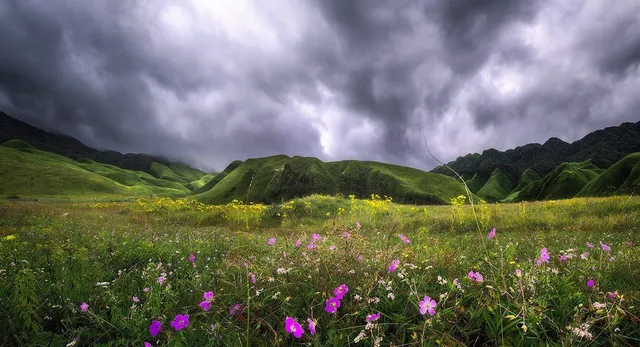 Dzukou: A piece of paradise on earth