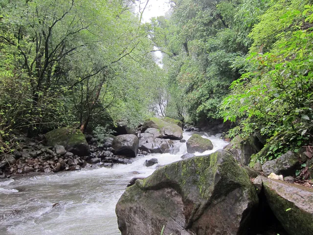 Chorla Ghat is an ecotourism destination about 50 km from Panjim, Goa