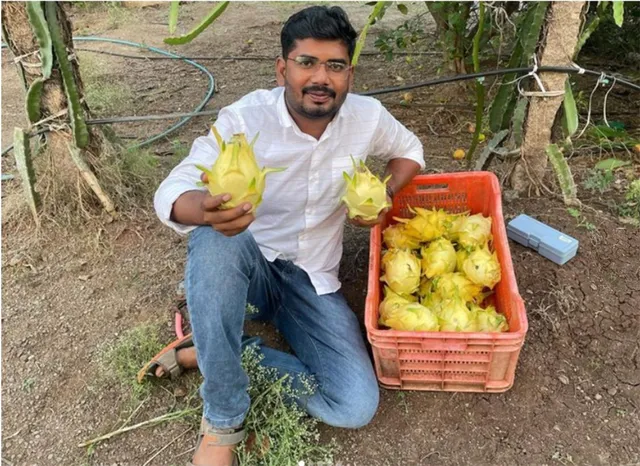 Mahesh Asabe at his farm in Akola Wasud village, Solapur