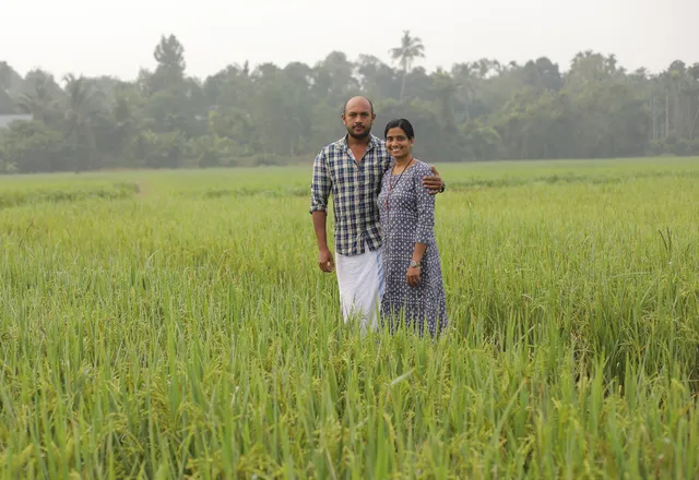 Pavithra A and Mohammed Rinas Mundakkal at their 25-acre paddy farm in Thrissur, Kerala